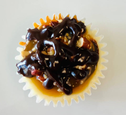 A singular turtle cheesecake mini against a white background