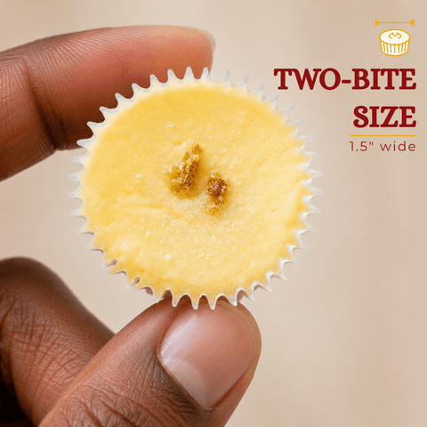 Hand holding a two-bite classic cheesecake mini showing its 1.5-inch size – Build Your Own Cheesecake Minis from The Cheesecake Boutique